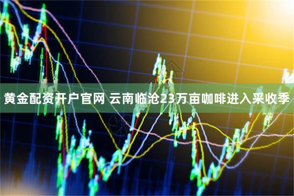 黄金配资开户官网 云南临沧23万亩咖啡进入采收季