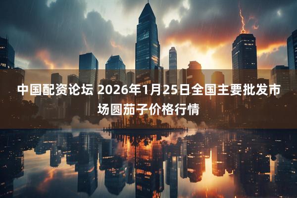中国配资论坛 2026年1月25日全国主要批发市场圆茄子价格行情