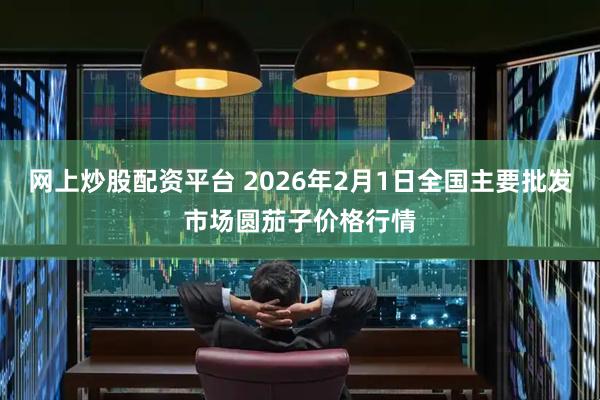 网上炒股配资平台 2026年2月1日全国主要批发市场圆茄子价格行情